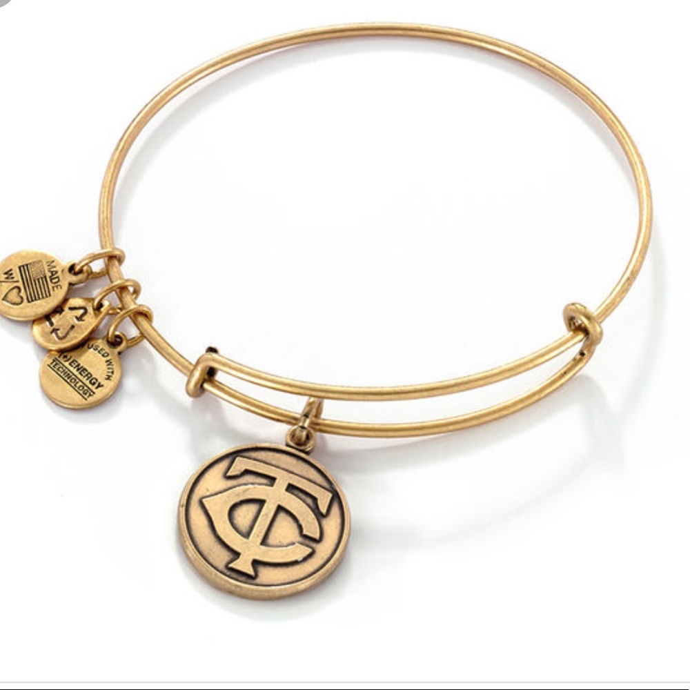 BNWT Alex and Ani Minnesota Twins Charm Bracelet